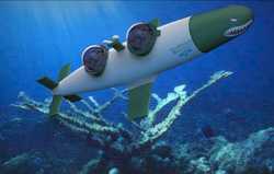 Personal Seabird Submarine