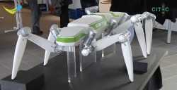 Hector The Creepy Crawly Spider Robot
